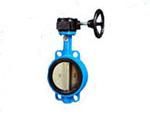 Non-rising gate valve
